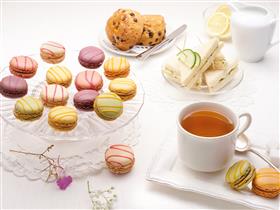 TP9303A, Outer Case Barcode 3450350093035